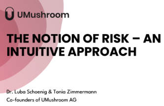 The Notion of Risk: An Intuitive Approach