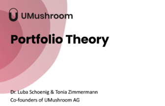 Portfolio Theory