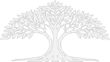 Banyan Ventures